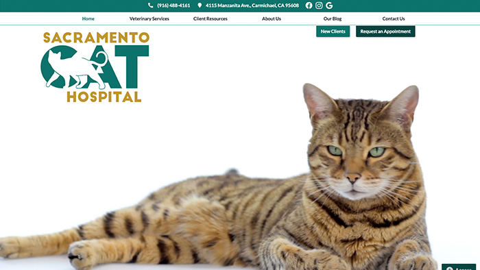 Sacramento Cat Hospital