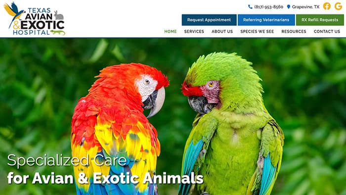 Texas Avian & Exotic Hospital