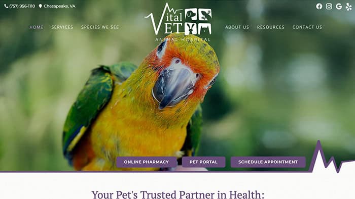 Vital Vet Animal Hospital