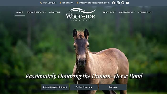 Woodside Equine